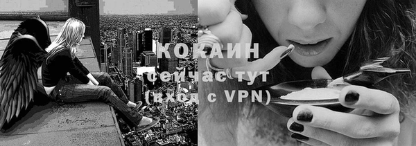 дурь Лагань