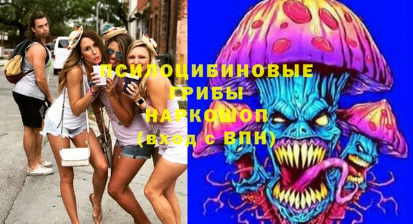 дурь Лагань