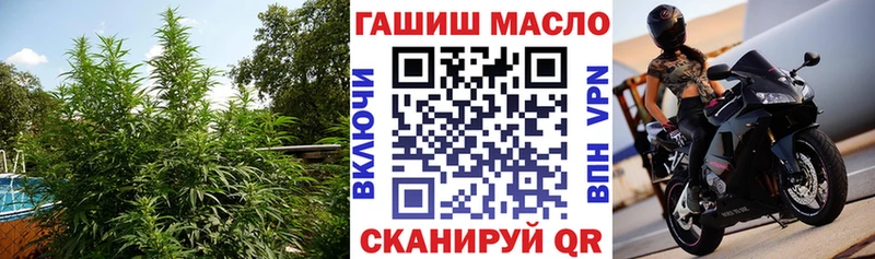 продажа наркотиков  Мантурово  Дистиллят ТГК концентрат 